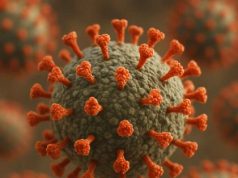 세종 산란계 농장에 대한 예찰 과정에서 H5형 조류인플루엔자 항원 확인